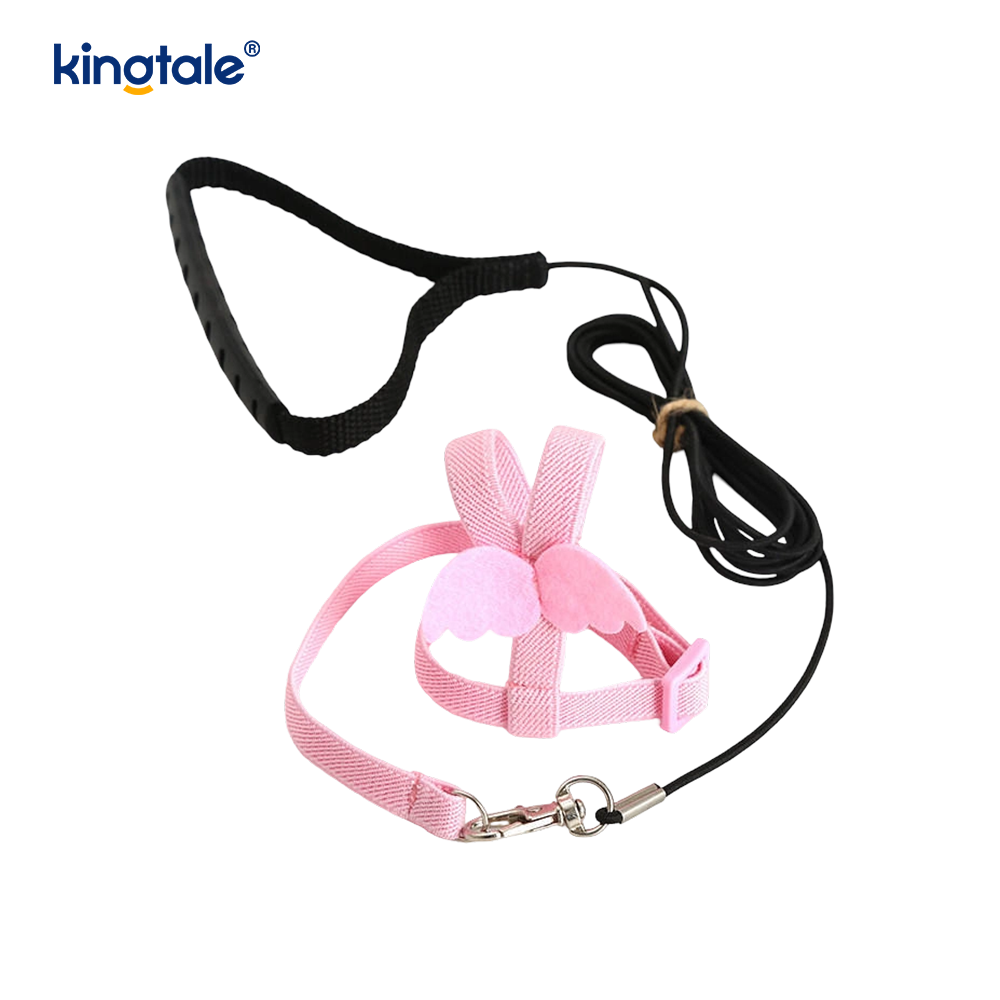 Customized Adjustable Flying Rope Peony Parrot Harness at Leash Set