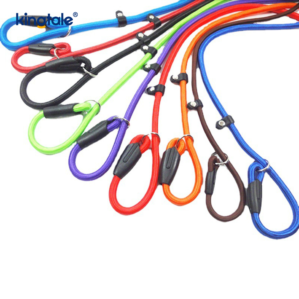 Slip Lead Dog Leash Strong Nylon Rope Leash Dog Training Lead Para sa Mga Alagang Hayop