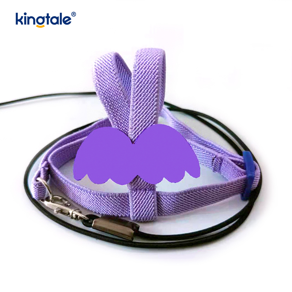 Customized Adjustable Flying Rope Peony Parrot Harness at Leash Set