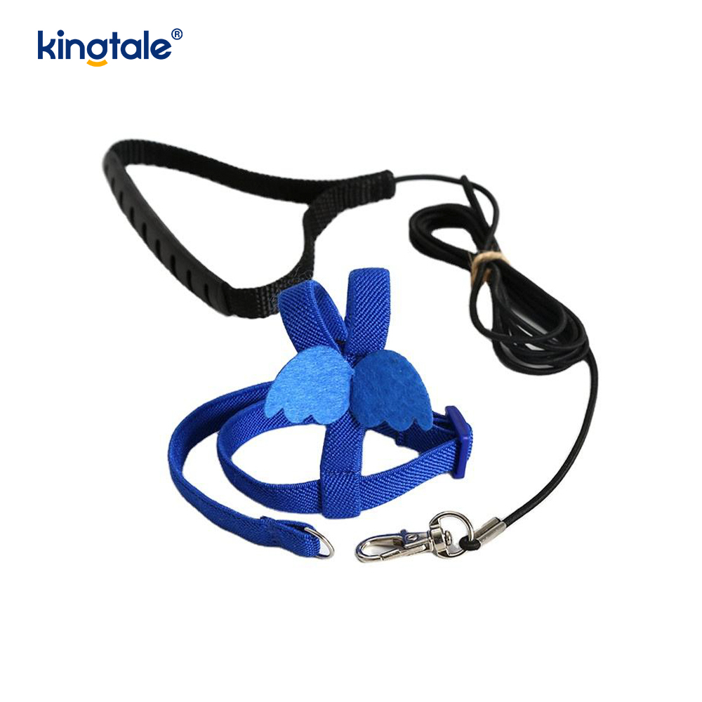 Customized Adjustable Flying Rope Peony Parrot Harness at Leash Set
