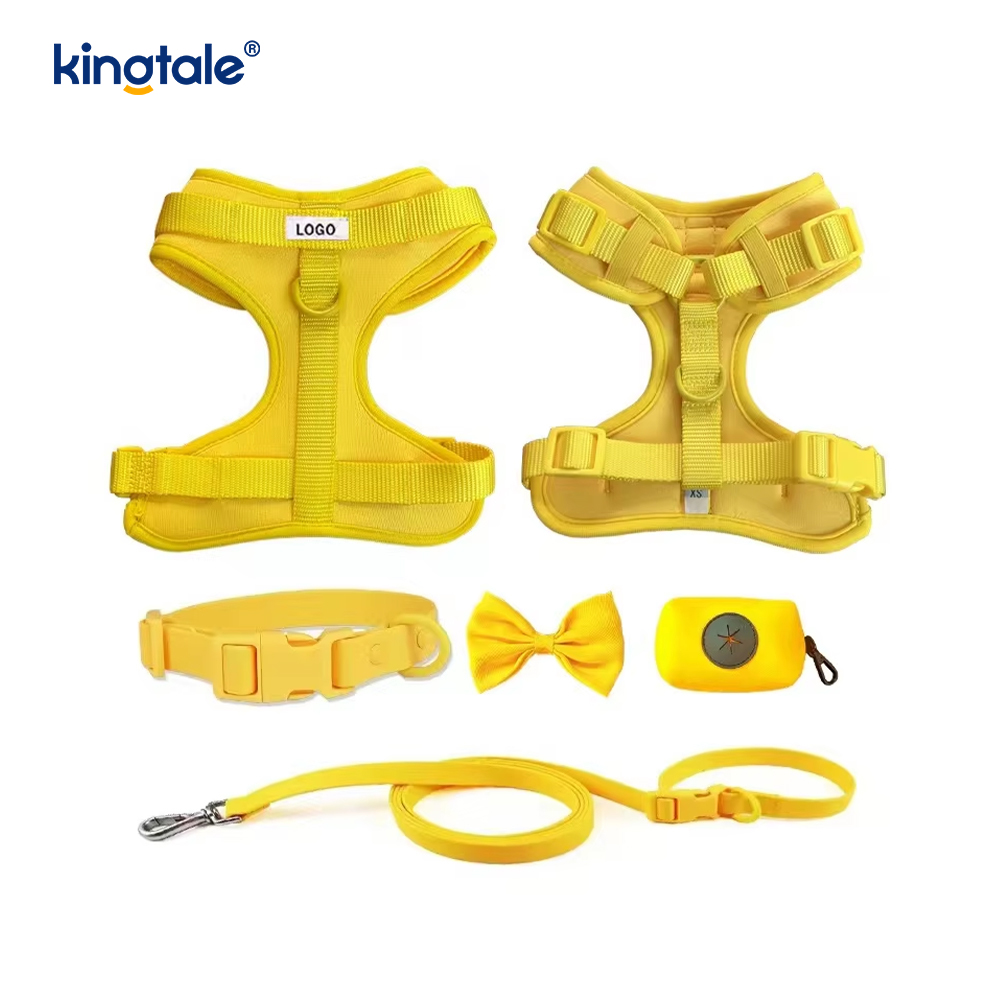 Custom na Fashionable Magaan na Waterproof Pvc Dog Harness Leash Collar