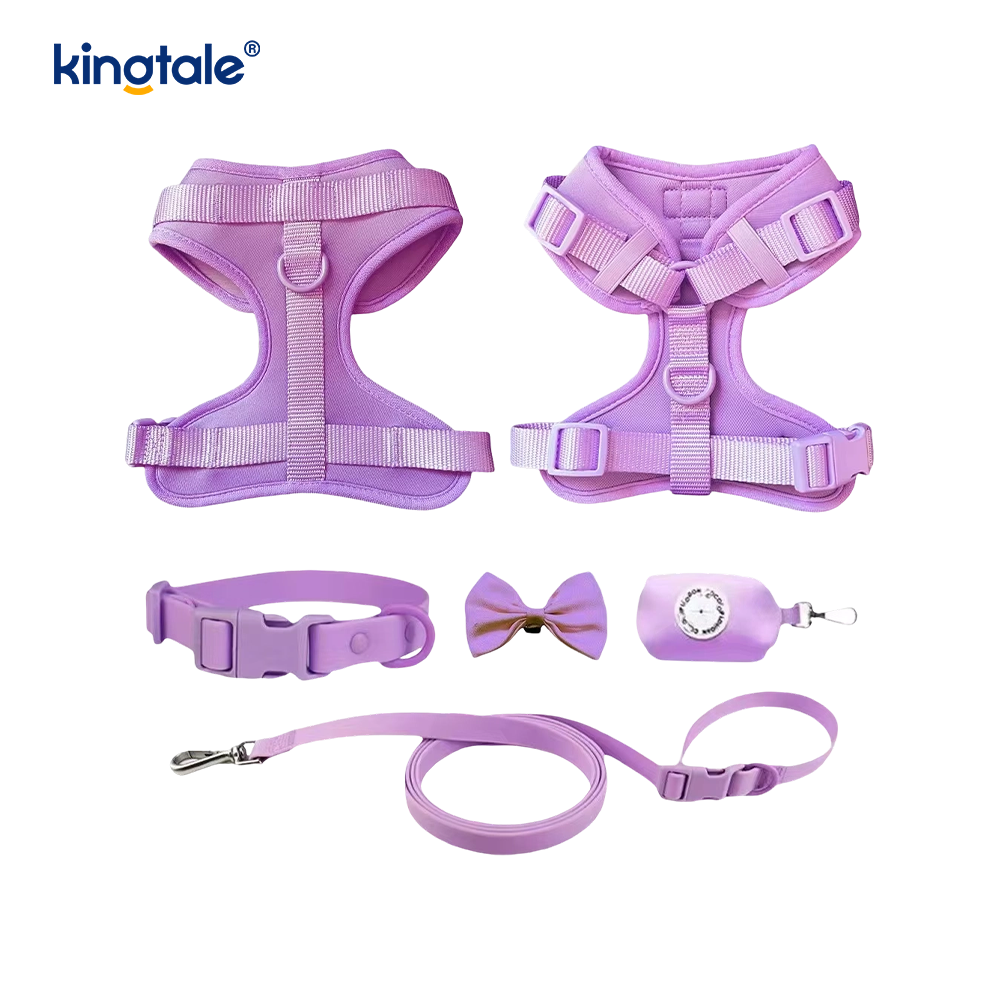 Custom na Fashionable Magaan na Waterproof Pvc Dog Harness Leash Collar