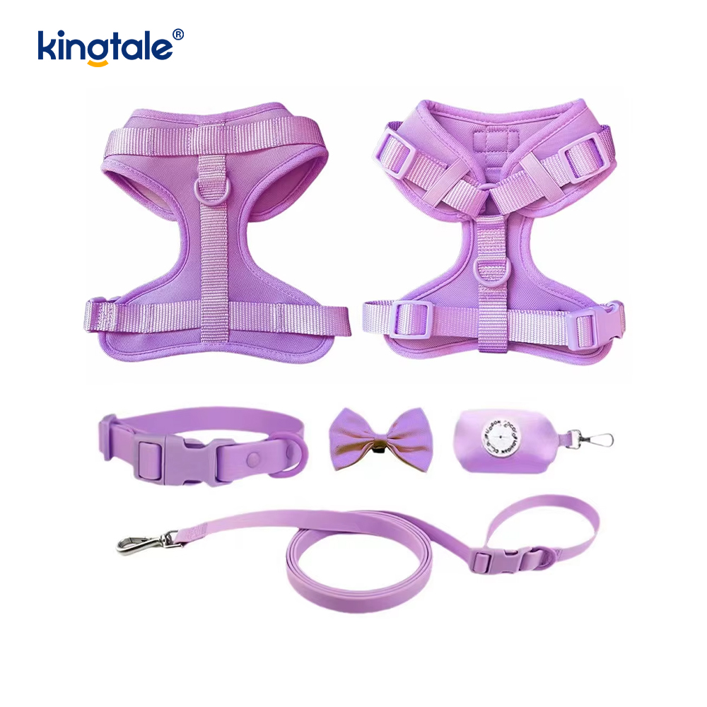 Custom na Fashionable Magaan na Waterproof Pvc Dog Harness Leash Collar