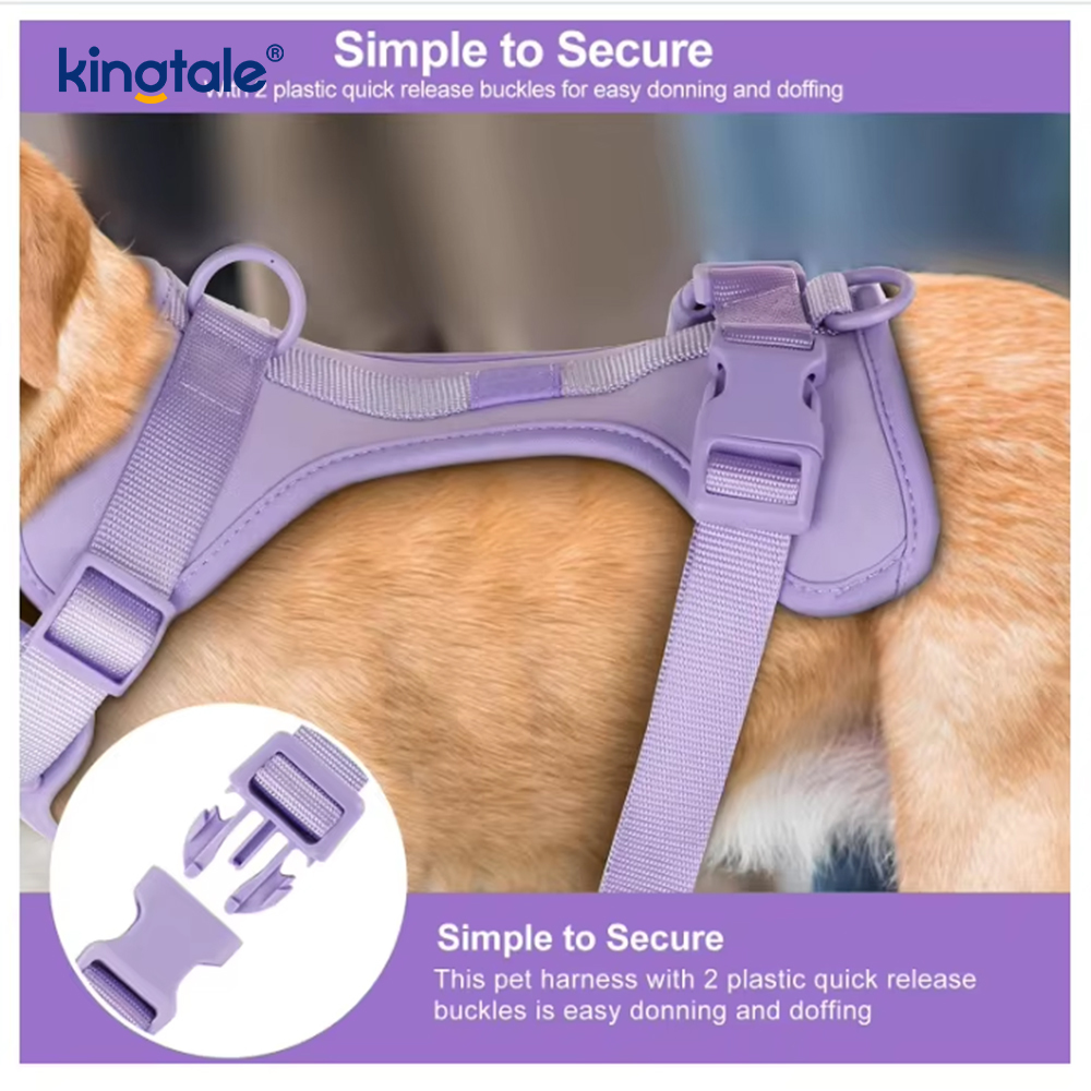 Custom na Fashionable Magaan na Waterproof Pvc Dog Harness Leash Collar