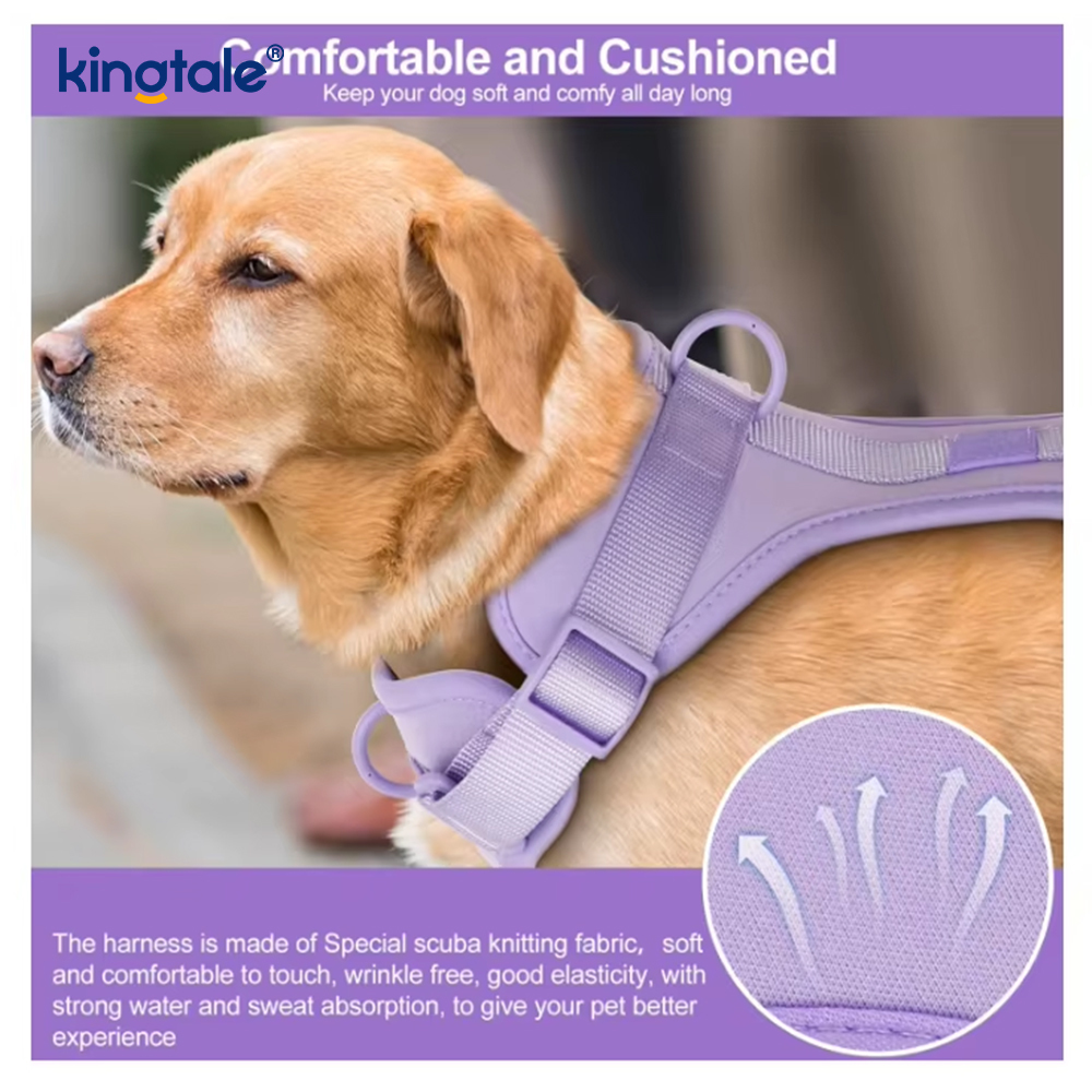 Custom na Fashionable Magaan na Waterproof Pvc Dog Harness Leash Collar