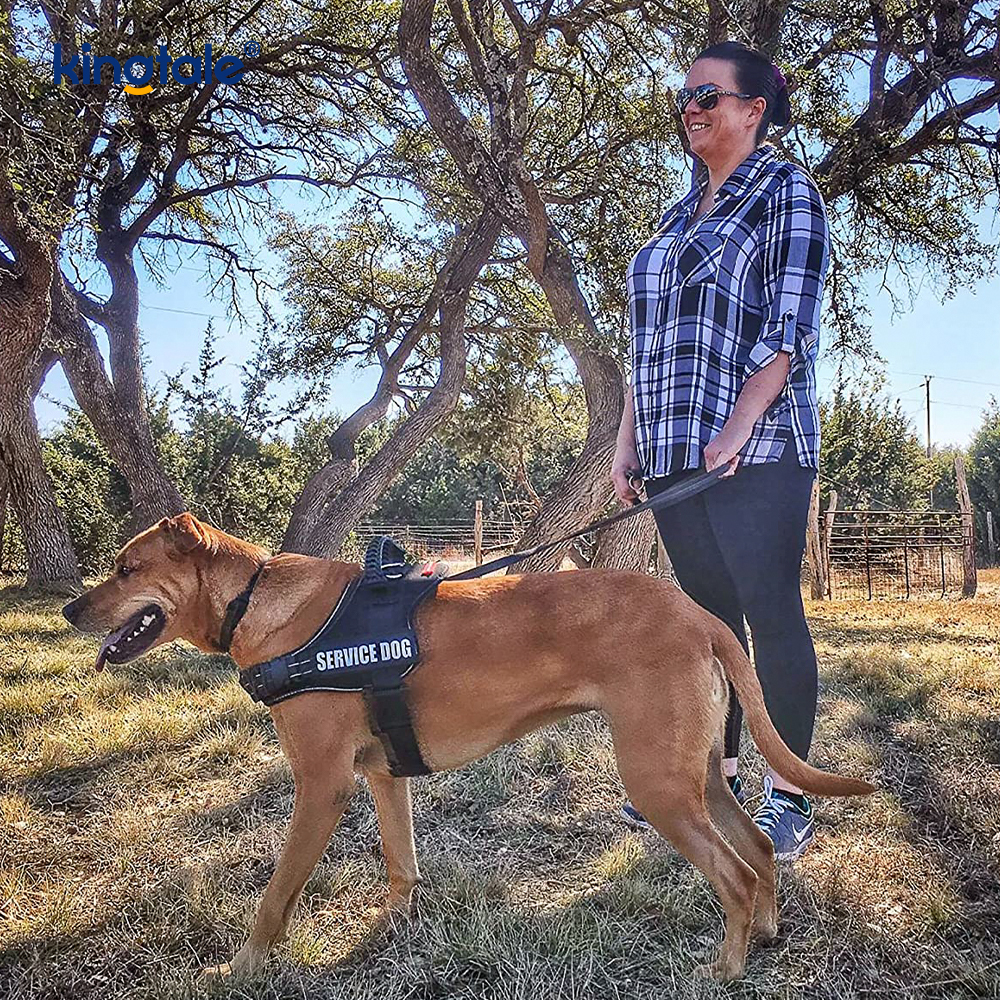 Walang Pull Reflective Designer Dog Harness Solid Nylon Rope Dog Leash