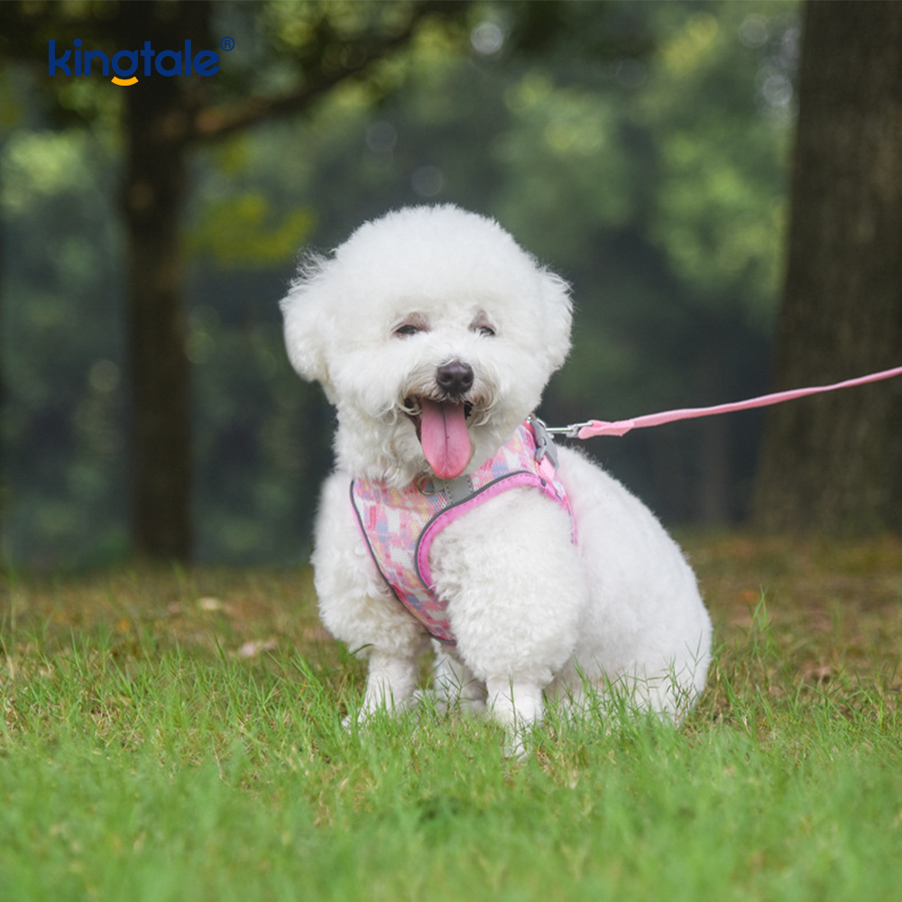 Vest-Style Fashion Padded Pet Harness Dog Reflective Anti-Shock Leash