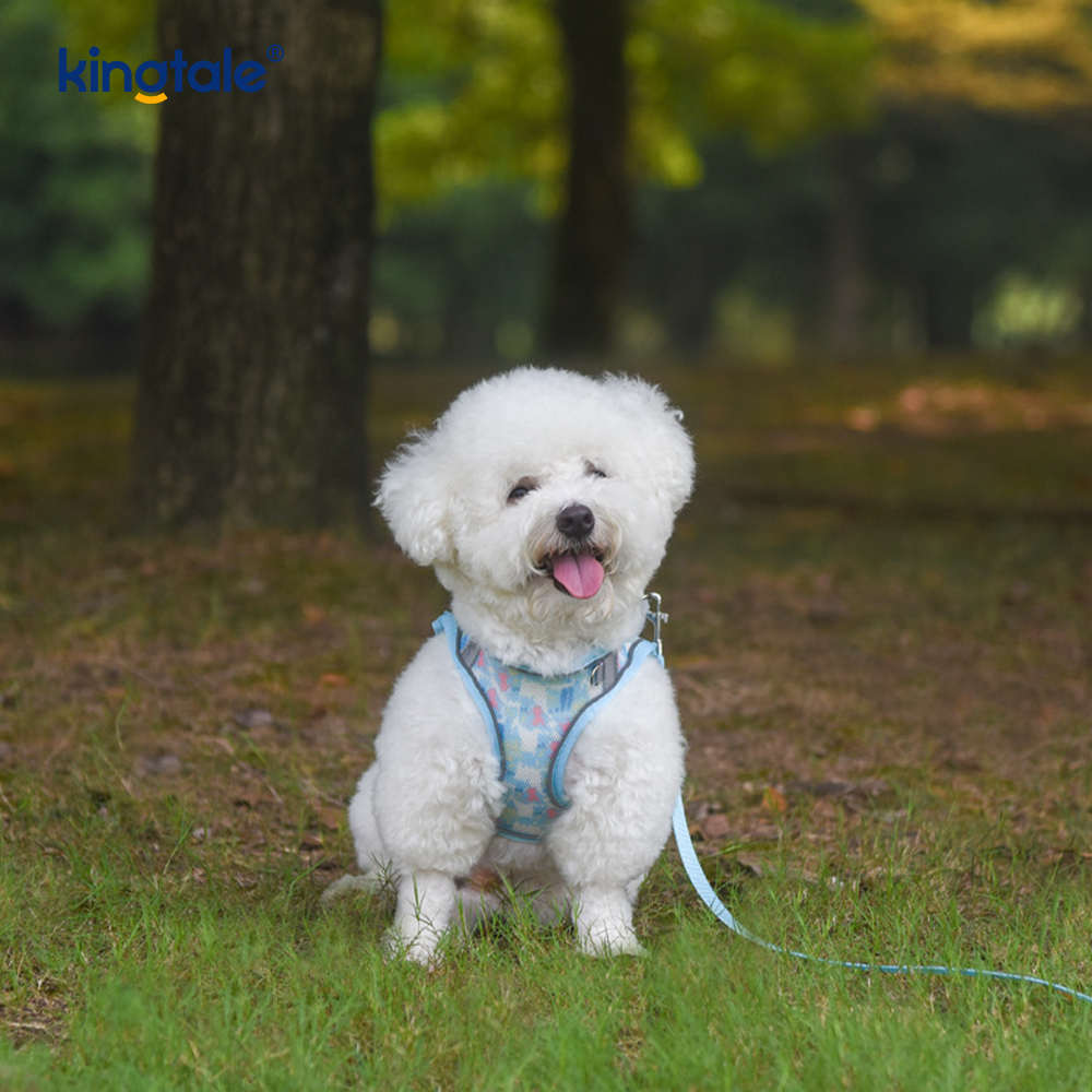 Vest-Style Fashion Padded Pet Harness Dog Reflective Anti-Shock Leash