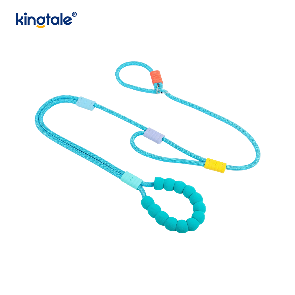 Walang Pull Durable Adjustable Nylon Double Handle Colorful Dog Slip Leash