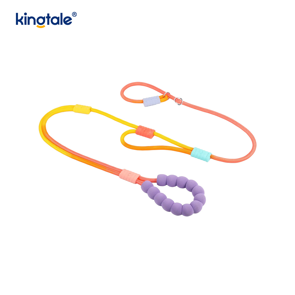 Walang Pull Durable Adjustable Nylon Double Handle Colorful Dog Slip Leash