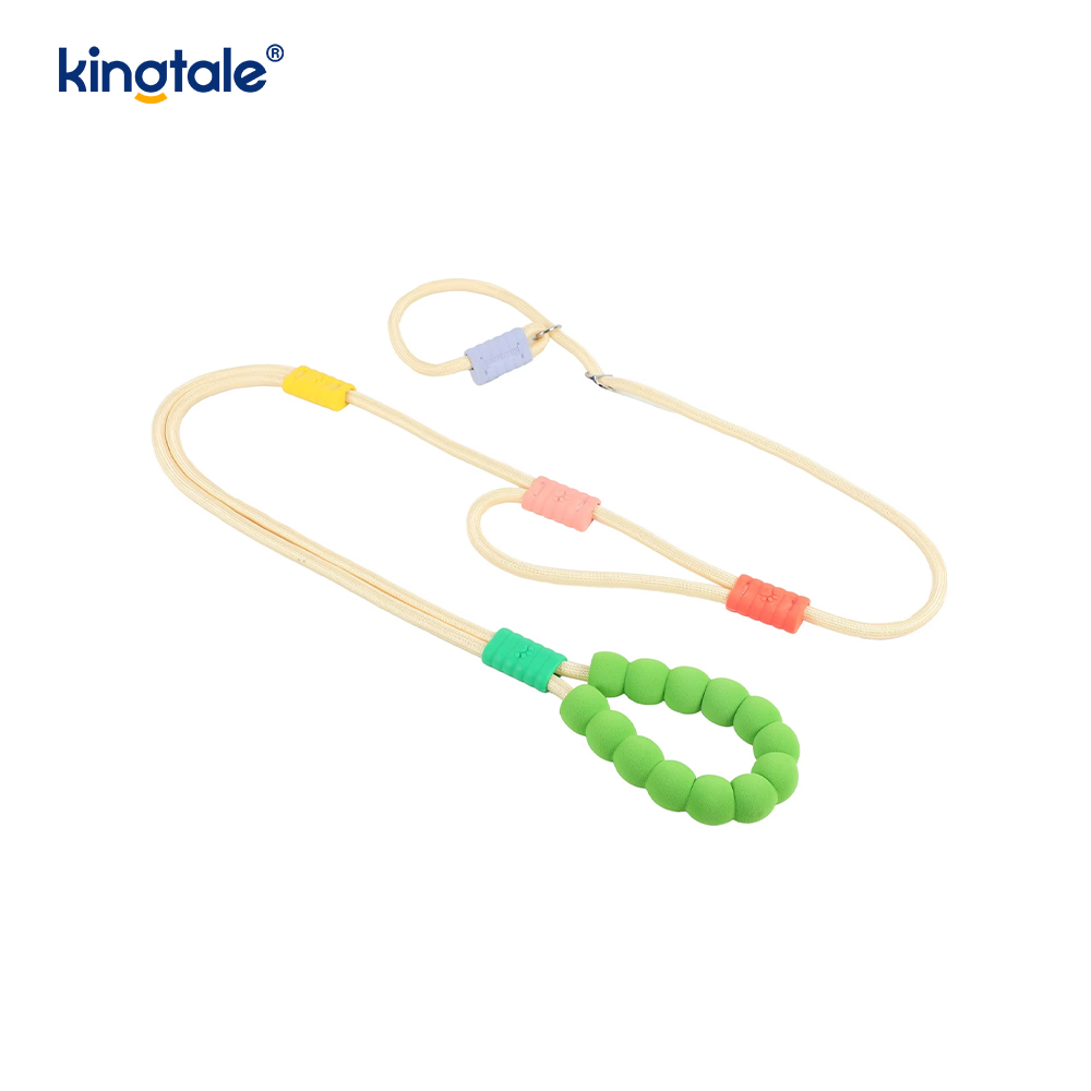 Walang Pull Durable Adjustable Nylon Double Handle Colorful Dog Slip Leash