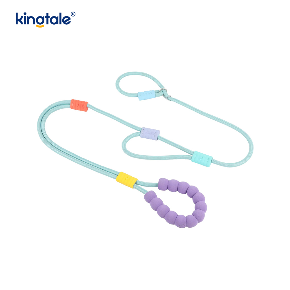 Walang Pull Durable Adjustable Nylon Double Handle Colorful Dog Slip Leash