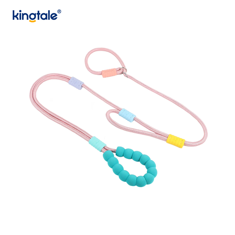 Walang Pull Durable Adjustable Nylon Double Handle Colorful Dog Slip Leash