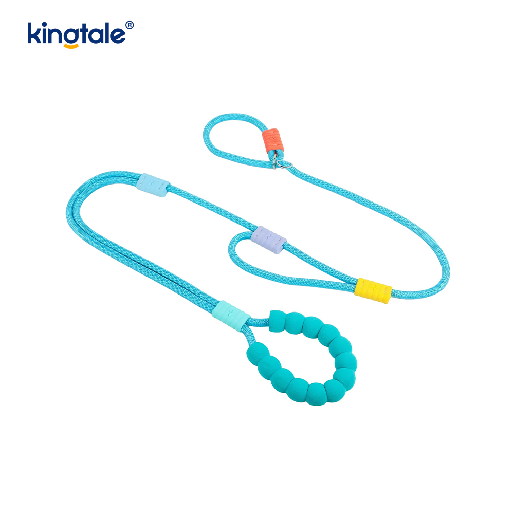 Walang Pull Durable Adjustable Nylon Double Handle Colorful Dog Slip Leash