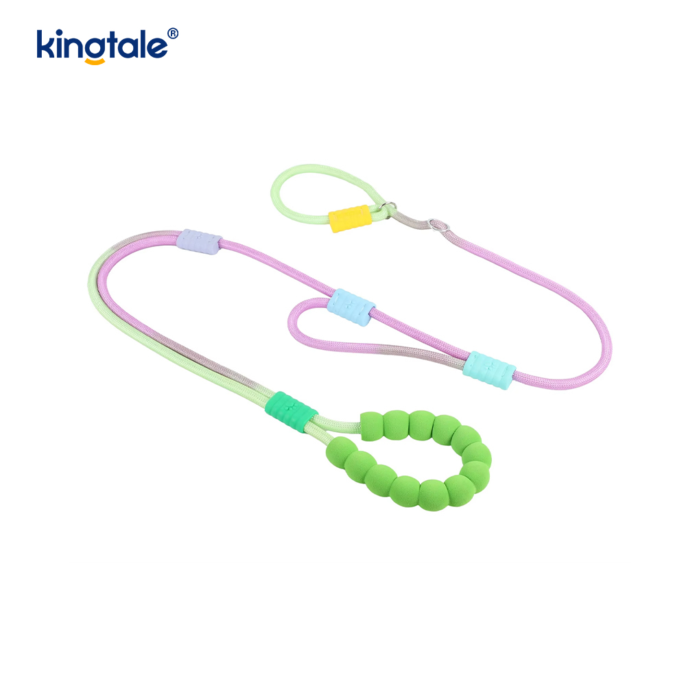 Walang Pull Durable Adjustable Nylon Double Handle Colorful Dog Slip Leash