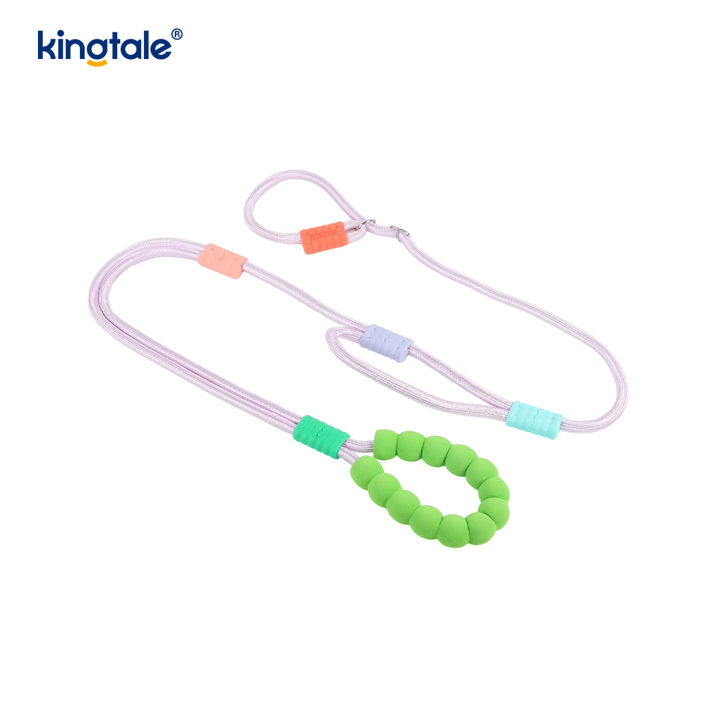 Walang Pull Durable Adjustable Nylon Double Handle Colorful Dog Slip Leash