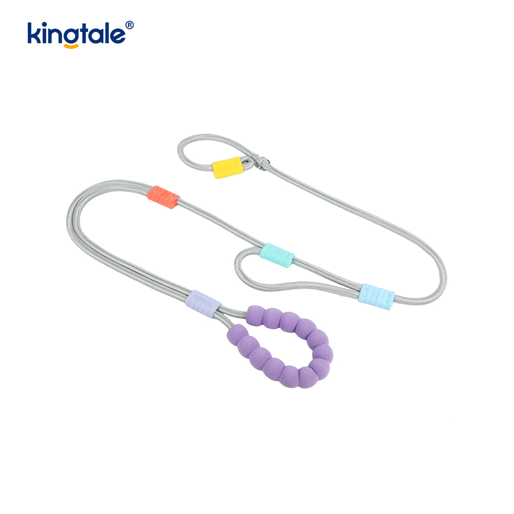 Walang Pull Durable Adjustable Nylon Double Handle Colorful Dog Slip Leash