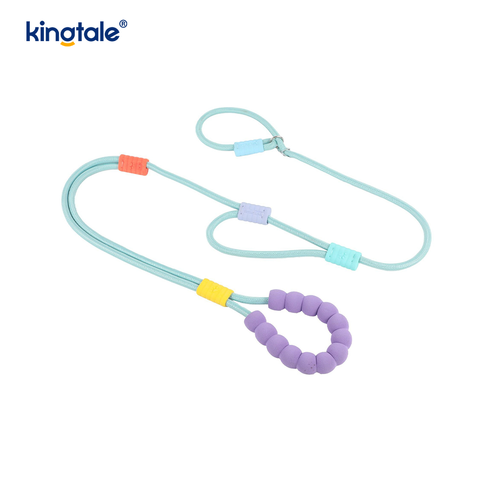 Walang Pull Durable Adjustable Nylon Double Handle Colorful Dog Slip Leash