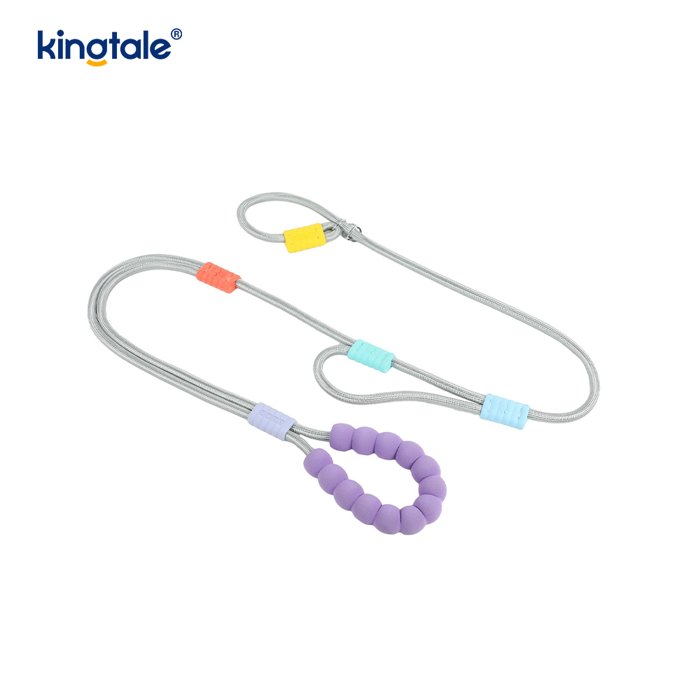Walang Pull Durable Adjustable Nylon Double Handle Colorful Dog Slip Leash