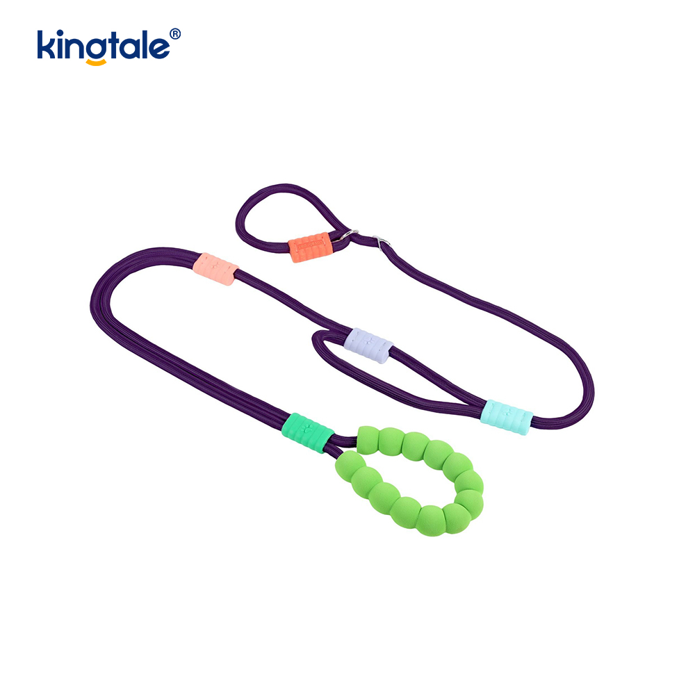 Walang Pull Durable Adjustable Nylon Double Handle Colorful Dog Slip Leash