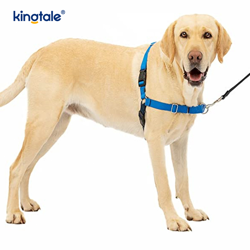 No-Pull Dog Harness Tulong Ihinto ang Paghila Kontrolin at Turuan ang Leash Manners