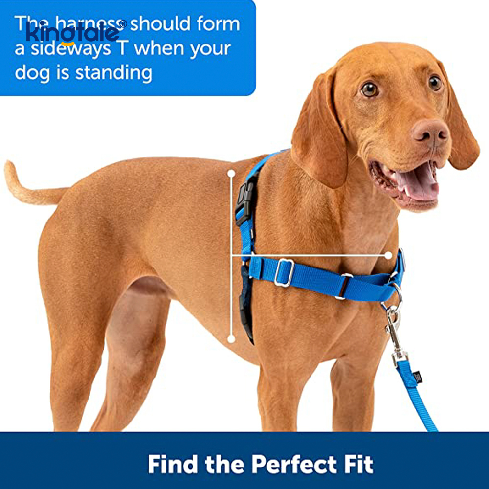 No-Pull Dog Harness Tulong Ihinto ang Paghila Kontrolin at Turuan ang Leash Manners