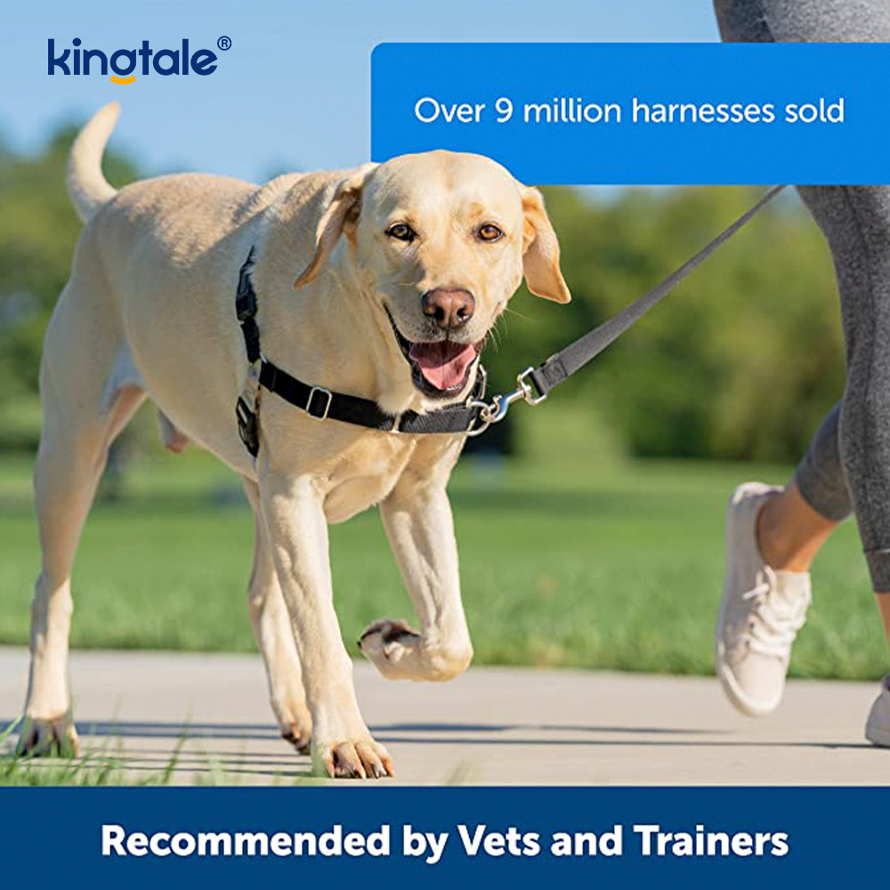 No-Pull Dog Harness Tulong Ihinto ang Paghila Kontrolin at Turuan ang Leash Manners
