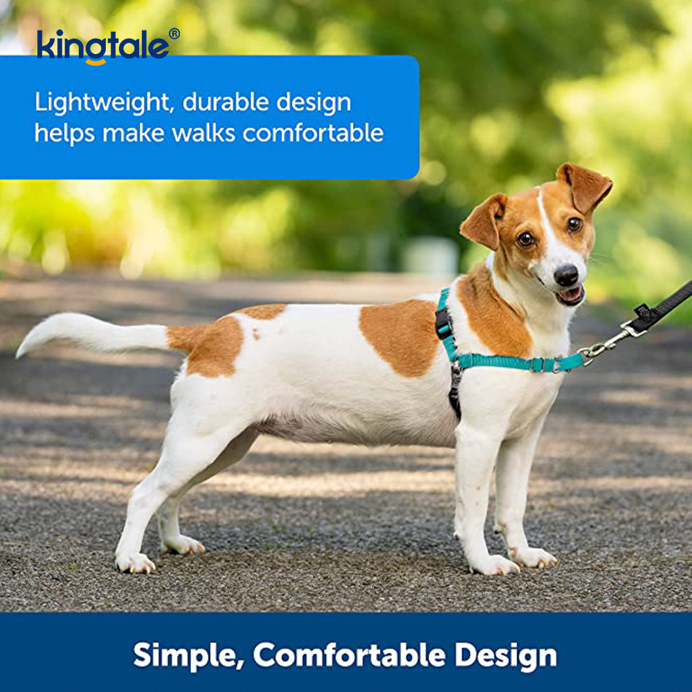 No-Pull Dog Harness Tulong Ihinto ang Paghila Kontrolin at Turuan ang Leash Manners