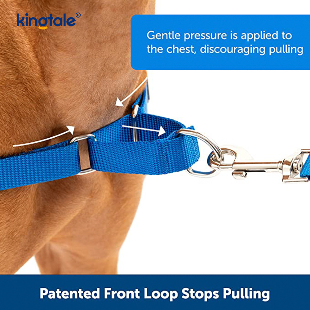 No-Pull Dog Harness Tulong Ihinto ang Paghila Kontrolin at Turuan ang Leash Manners