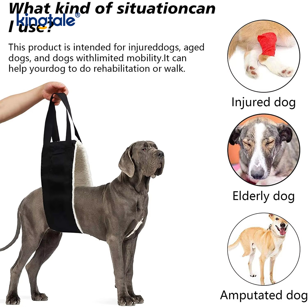 Customized Portable Dog Sling Solid Sustainable Dog Lift Harness Para sa Mga Alagang Hayop