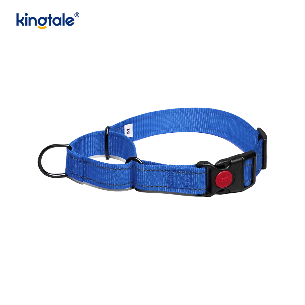 Mabilis na Paglabas Walang Pull Reflective Adjustable Nylon Martingale Dog Collar