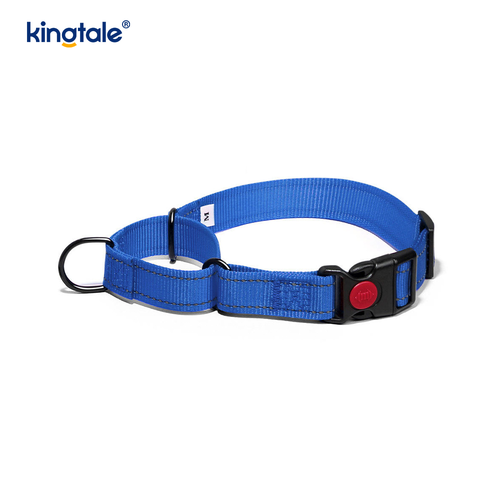 Mabilis na Paglabas Walang Pull Reflective Adjustable Nylon Martingale Dog Collar