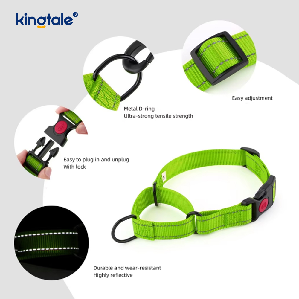 Mabilis na Paglabas Walang Pull Reflective Adjustable Nylon Martingale Dog Collar