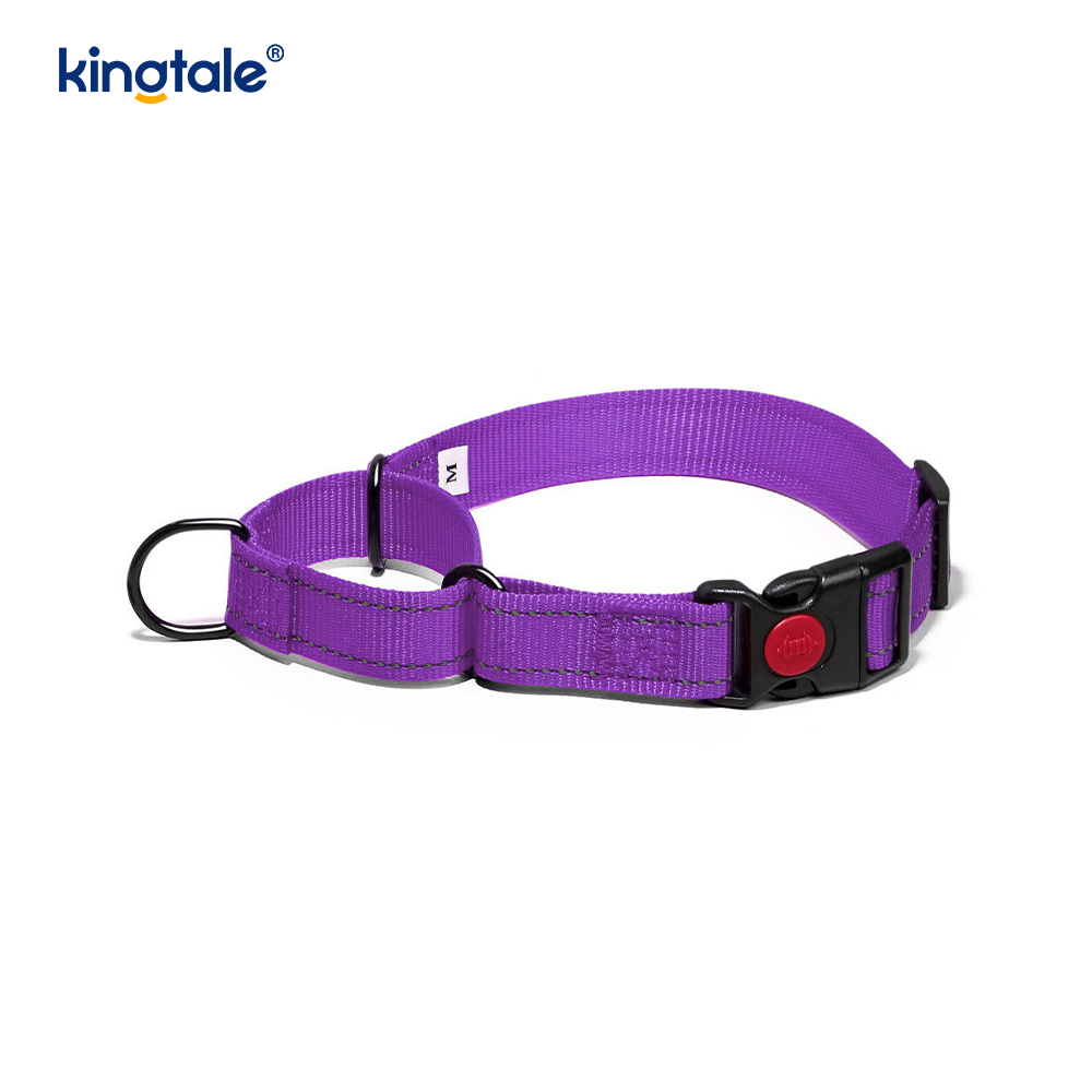 Mabilis na Paglabas Walang Pull Reflective Adjustable Nylon Martingale Dog Collar