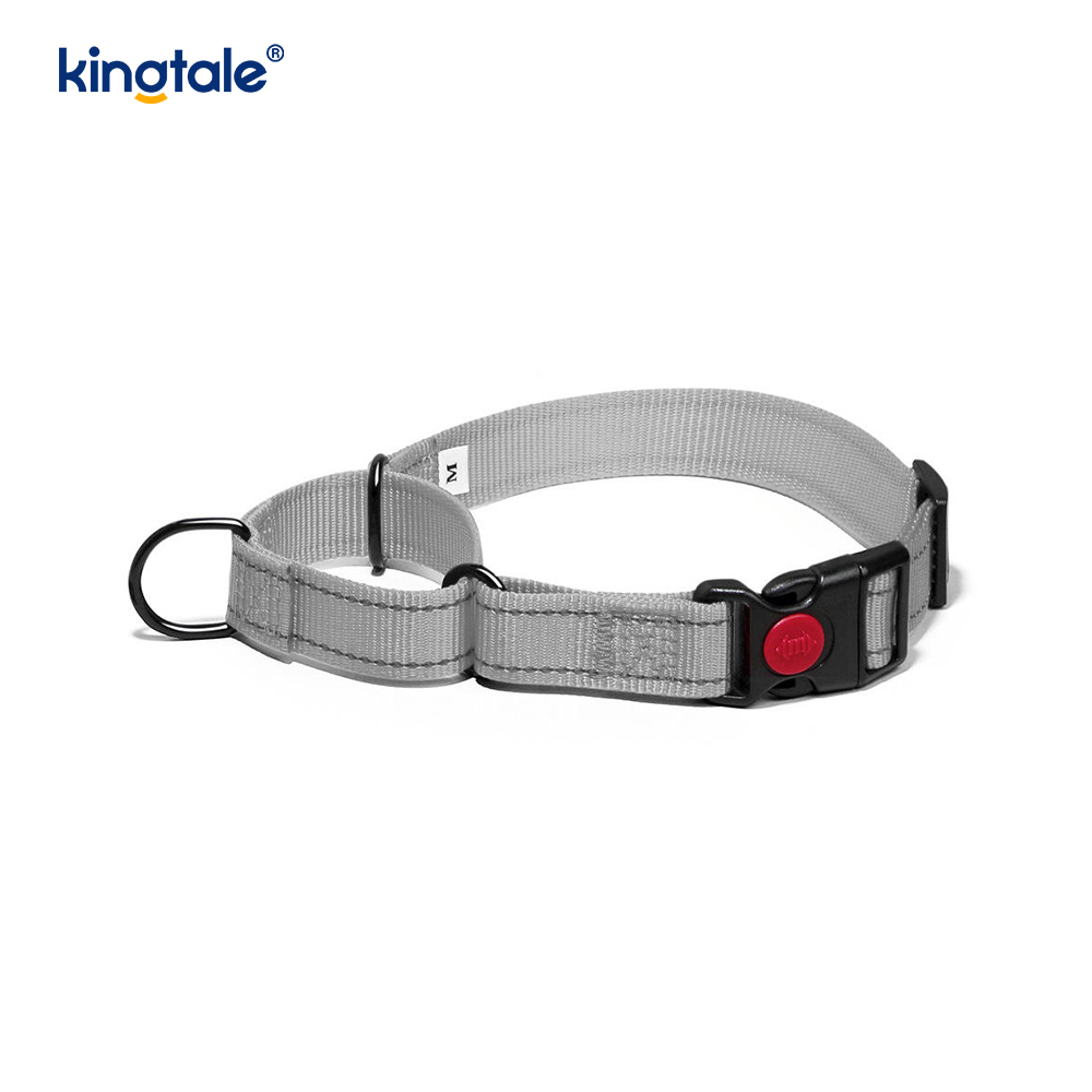 Mabilis na Paglabas Walang Pull Reflective Adjustable Nylon Martingale Dog Collar