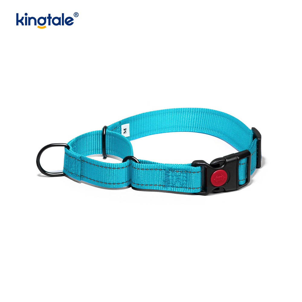 Mabilis na Paglabas Walang Pull Reflective Adjustable Nylon Martingale Dog Collar