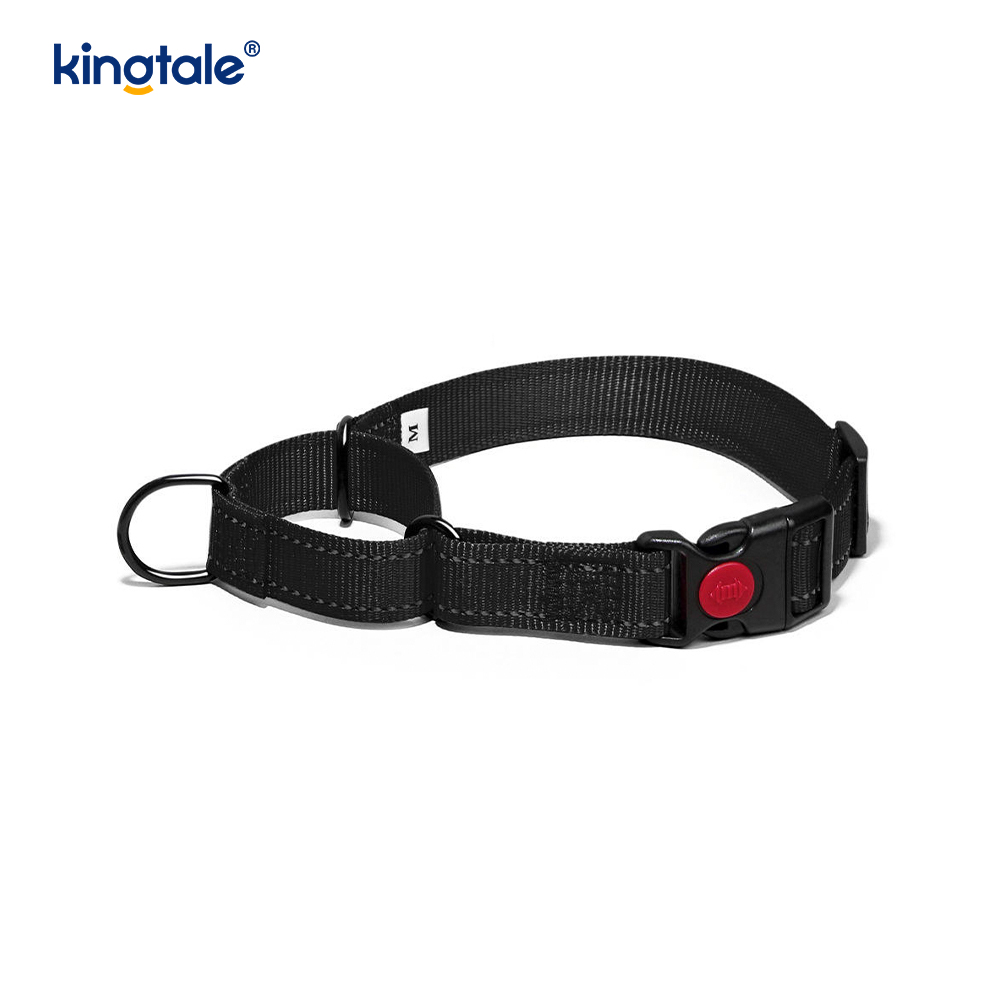 Mabilis na Paglabas Walang Pull Reflective Adjustable Nylon Martingale Dog Collar