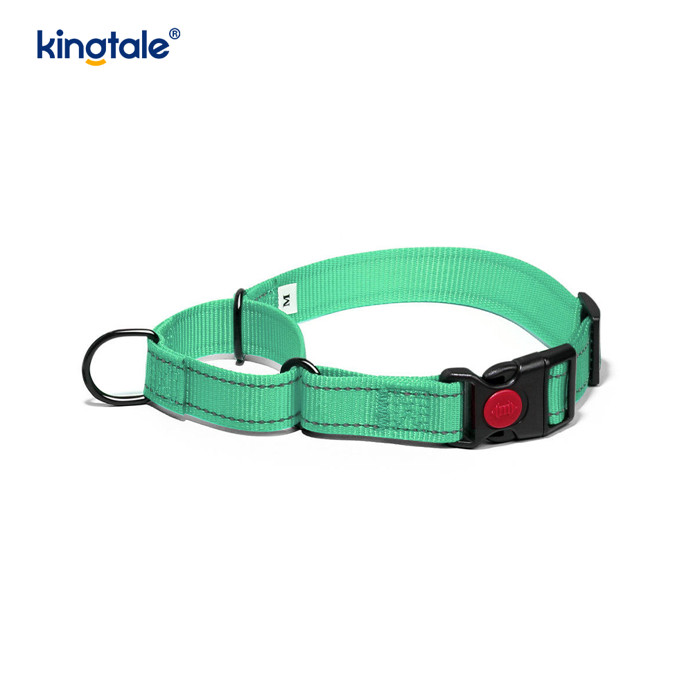 Mabilis na Paglabas Walang Pull Reflective Adjustable Nylon Martingale Dog Collar
