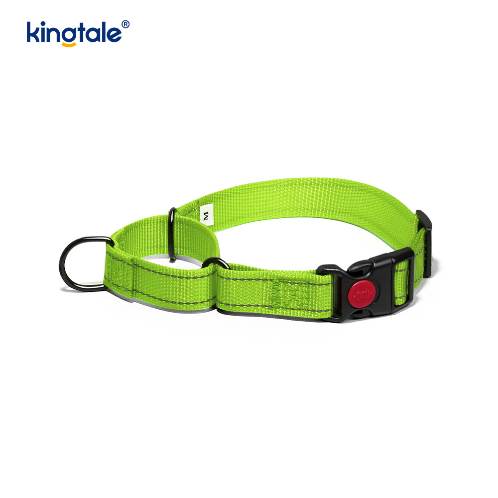 Mabilis na Paglabas Walang Pull Reflective Adjustable Nylon Martingale Dog Collar