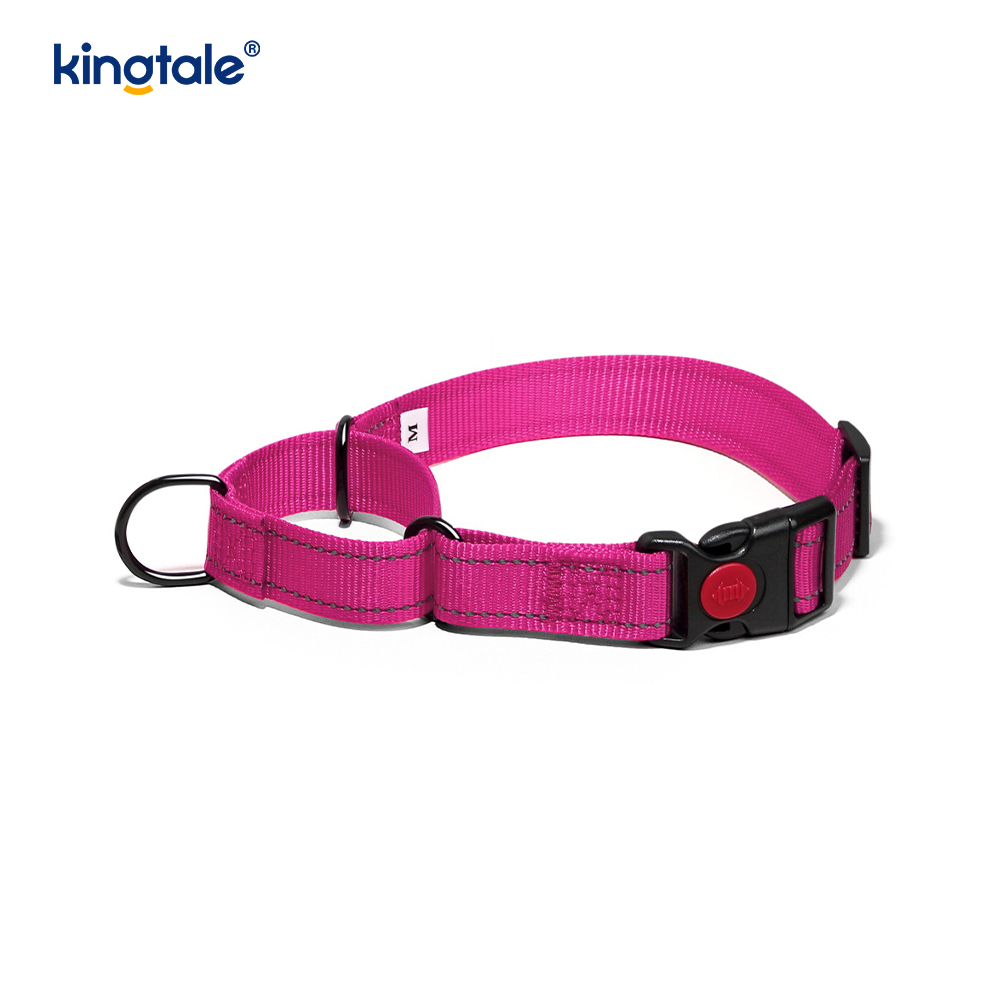 Mabilis na Paglabas Walang Pull Reflective Adjustable Nylon Martingale Dog Collar