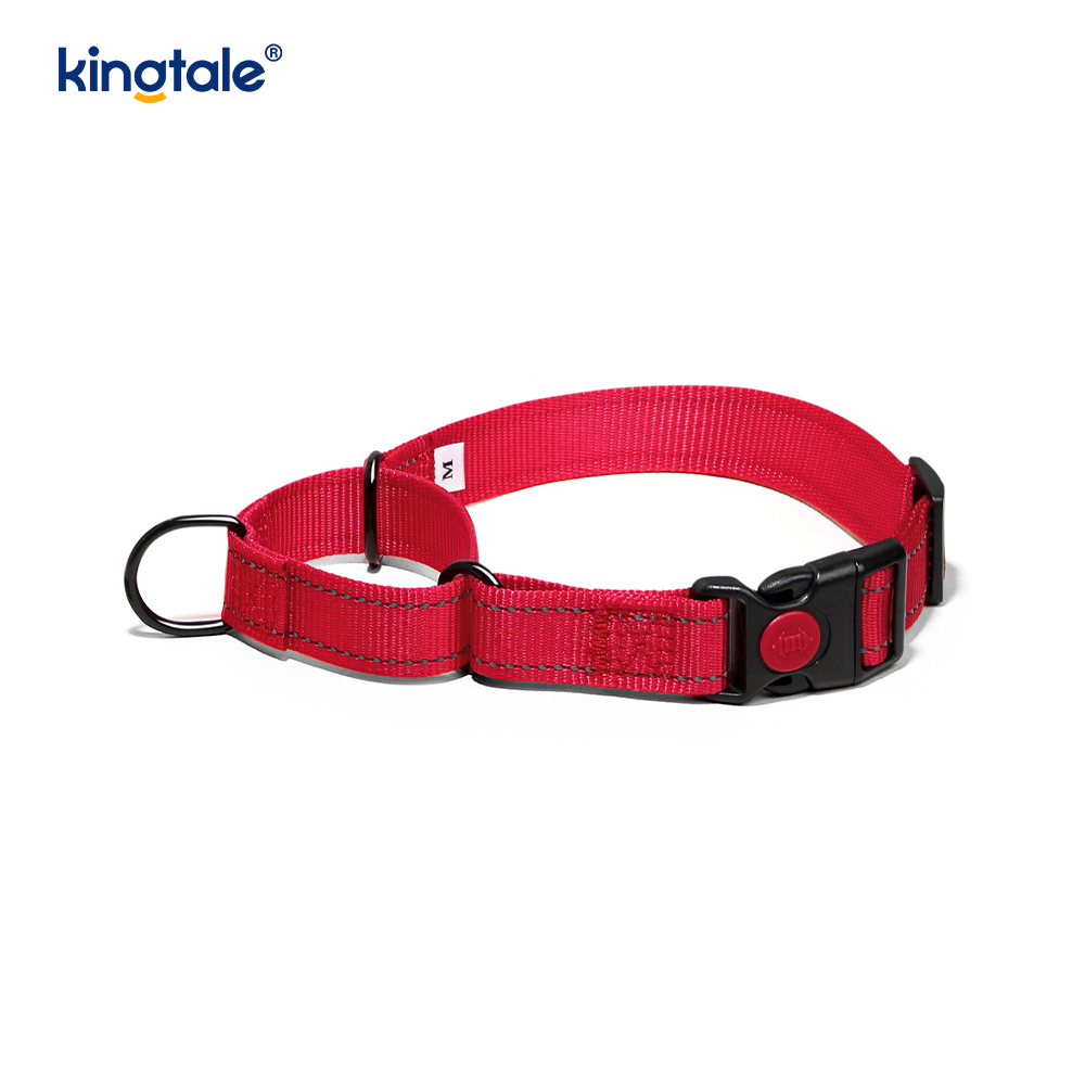 Mabilis na Paglabas Walang Pull Reflective Adjustable Nylon Martingale Dog Collar