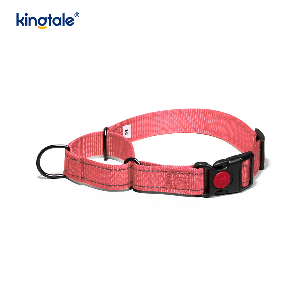 Mabilis na Paglabas Walang Pull Reflective Adjustable Nylon Martingale Dog Collar