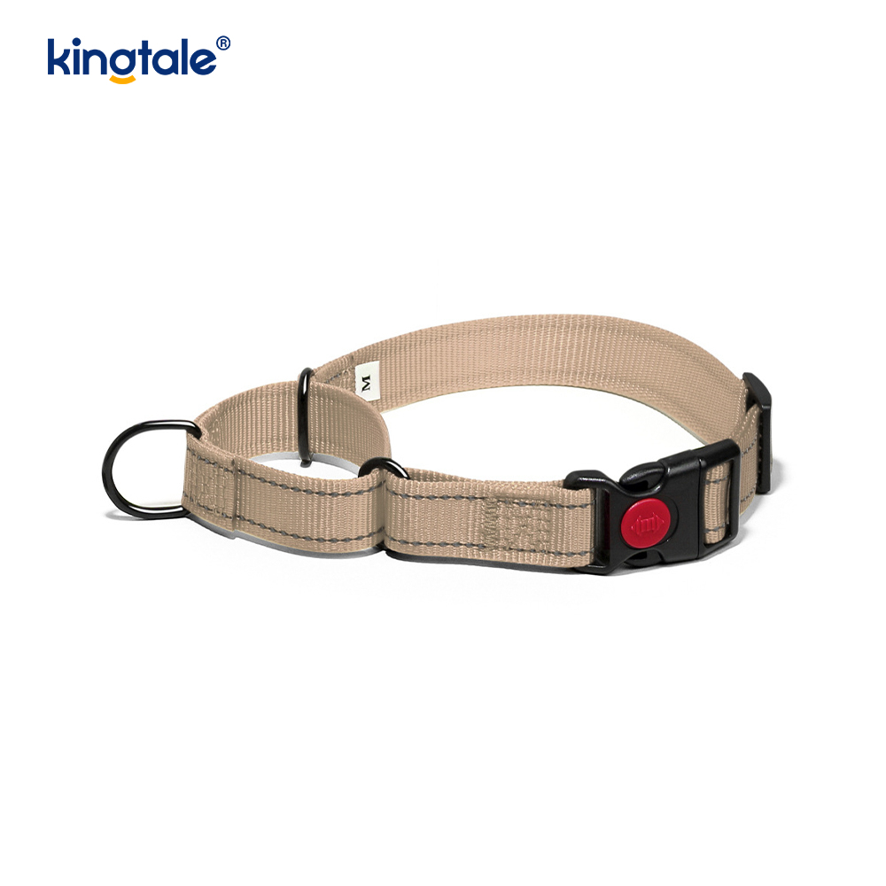 Mabilis na Paglabas Walang Pull Reflective Adjustable Nylon Martingale Dog Collar