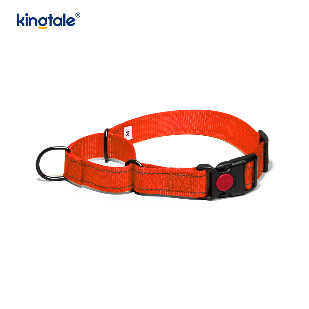 Mabilis na Paglabas Walang Pull Reflective Adjustable Nylon Martingale Dog Collar