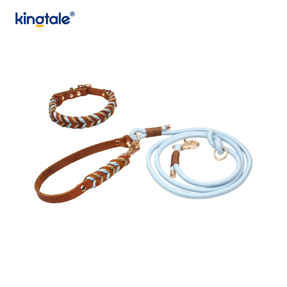 Malambot at Matibay na Genuine Leather Dog Collar at Leash Set