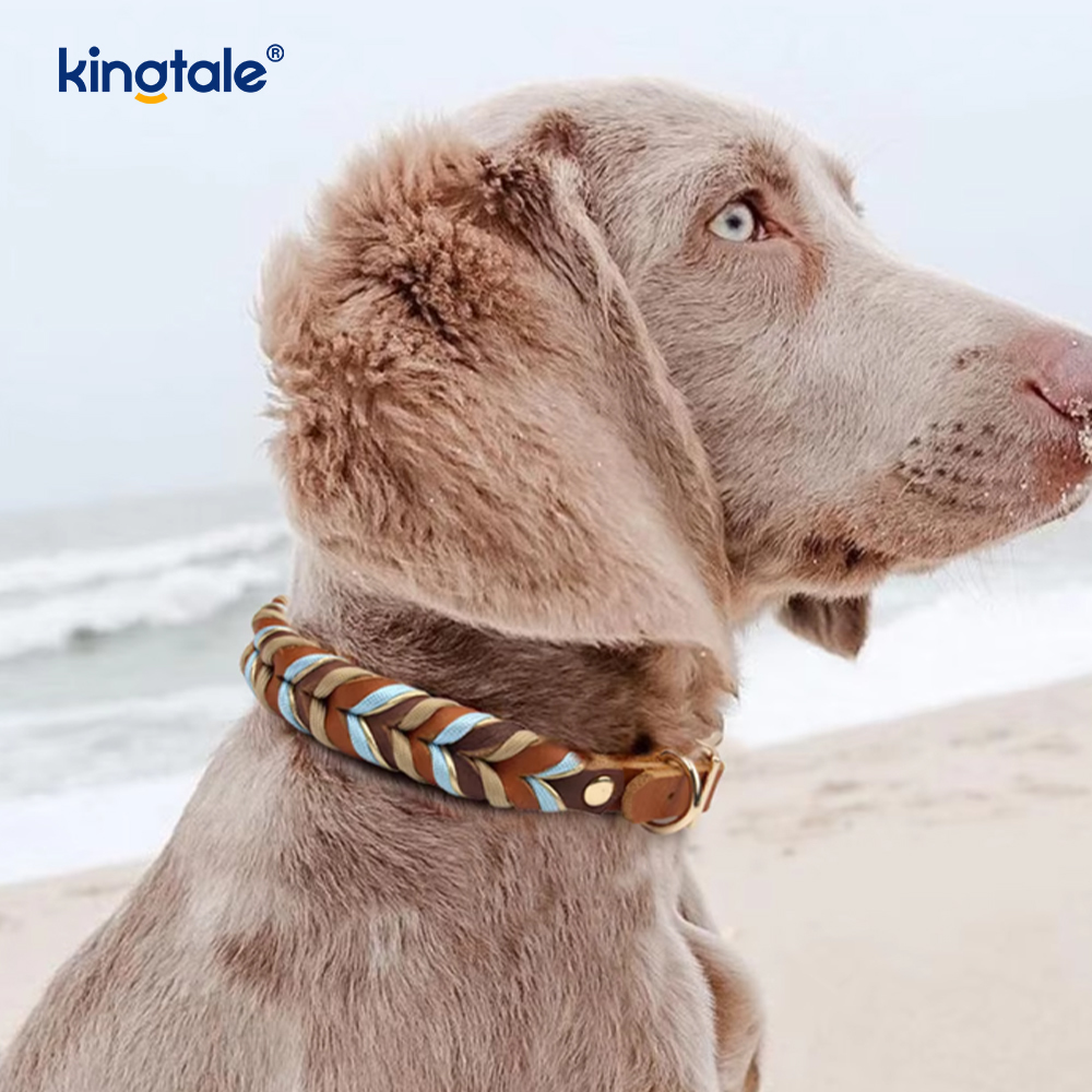 Malambot at Matibay na Genuine Leather Dog Collar at Leash Set