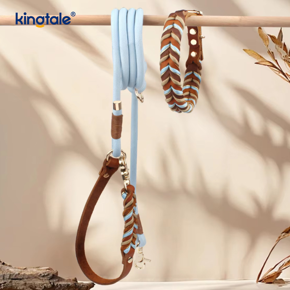 Malambot at Matibay na Genuine Leather Dog Collar at Leash Set