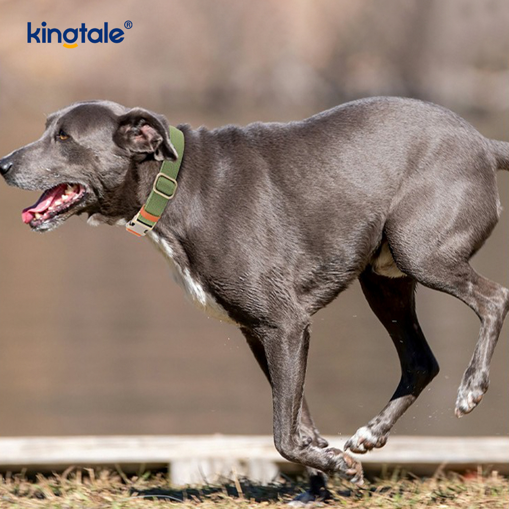Hindi Nakasisikip Makahinga Matibay na Natural Hemp Dog Collar