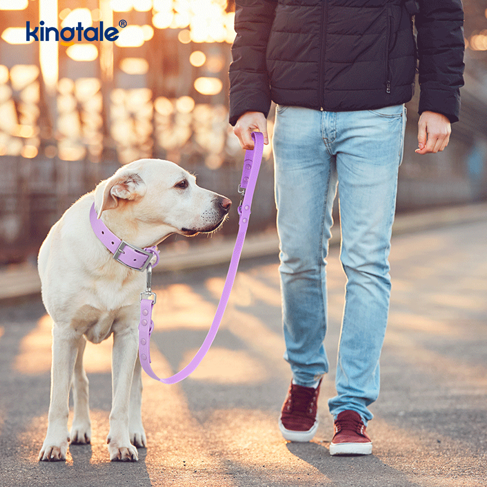 PVC-Coated Waterproof Abrasion-Resistant Dog Collars Leash