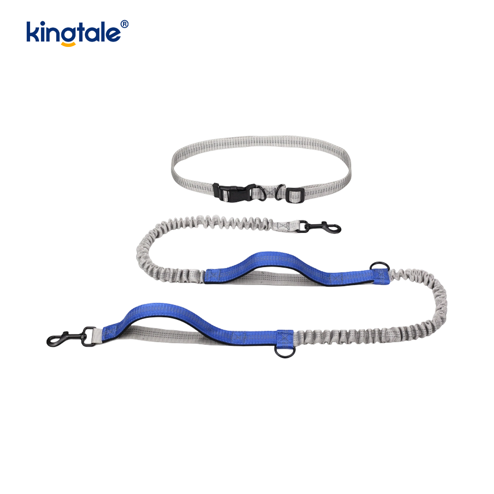 Amazon Reflective Dual-Retractable Dog Leash para sa Outdoor Running